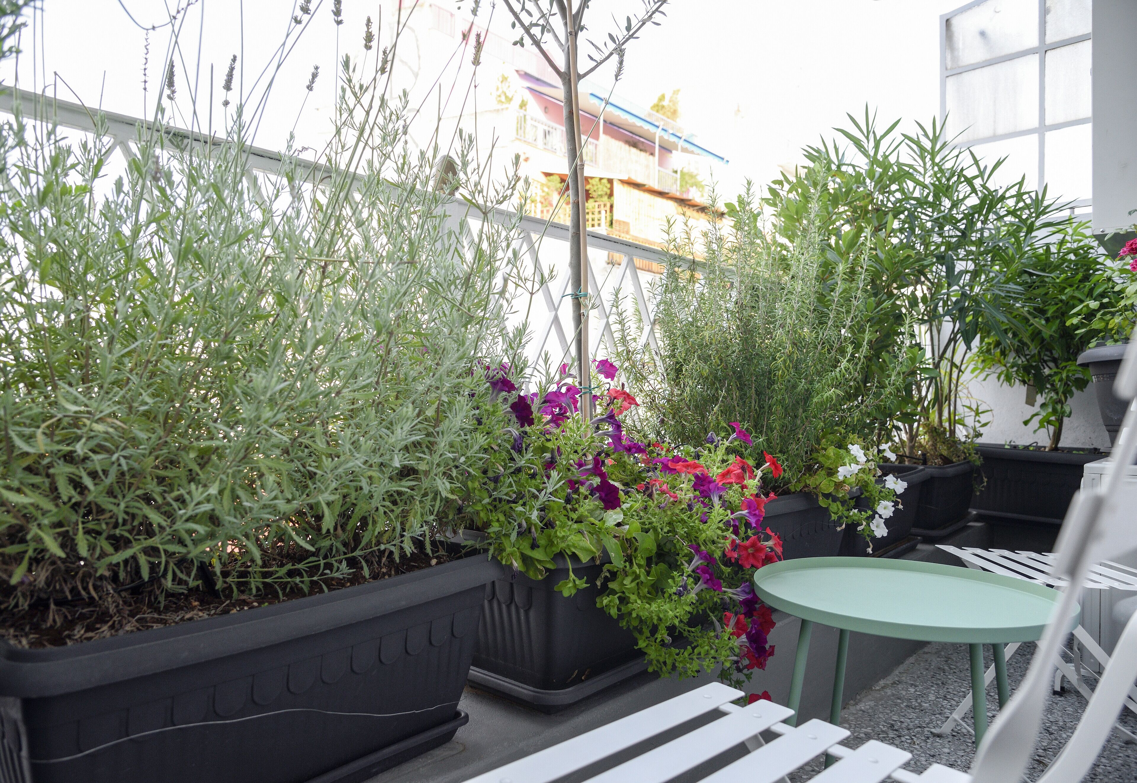 A balcony with potted plants and a small table.