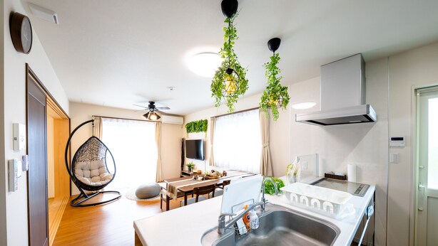 Cozinha moderna com pia, bancada e plantas penduradas.