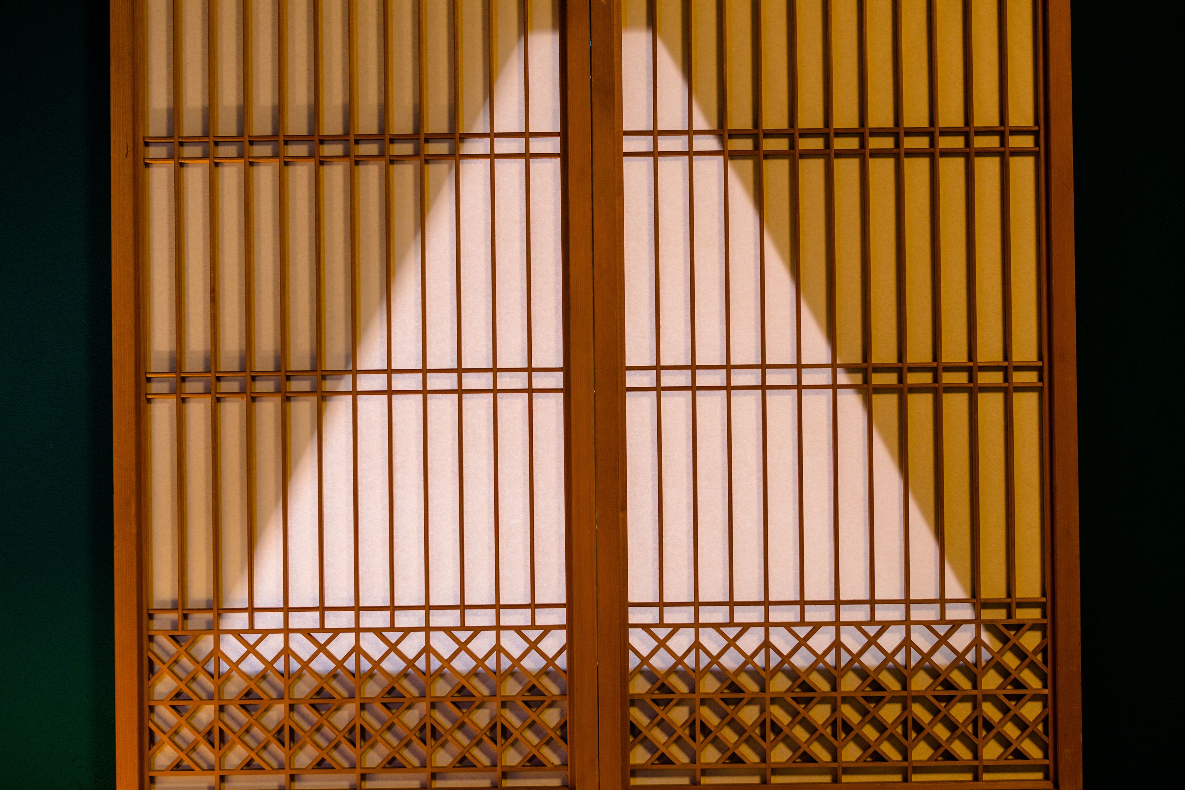 Foto - 富士山金魚 Fujisan Kingyo