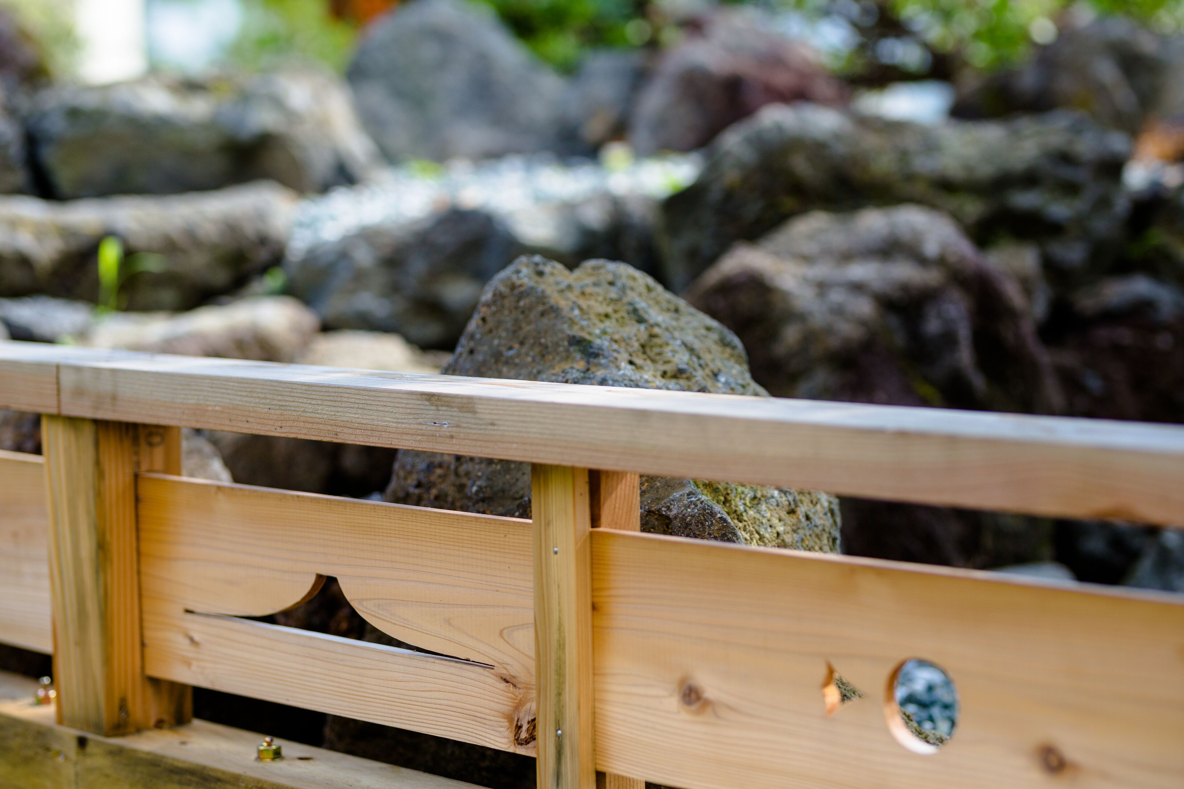 Foto - 富士山金魚 Fujisan Kingyo