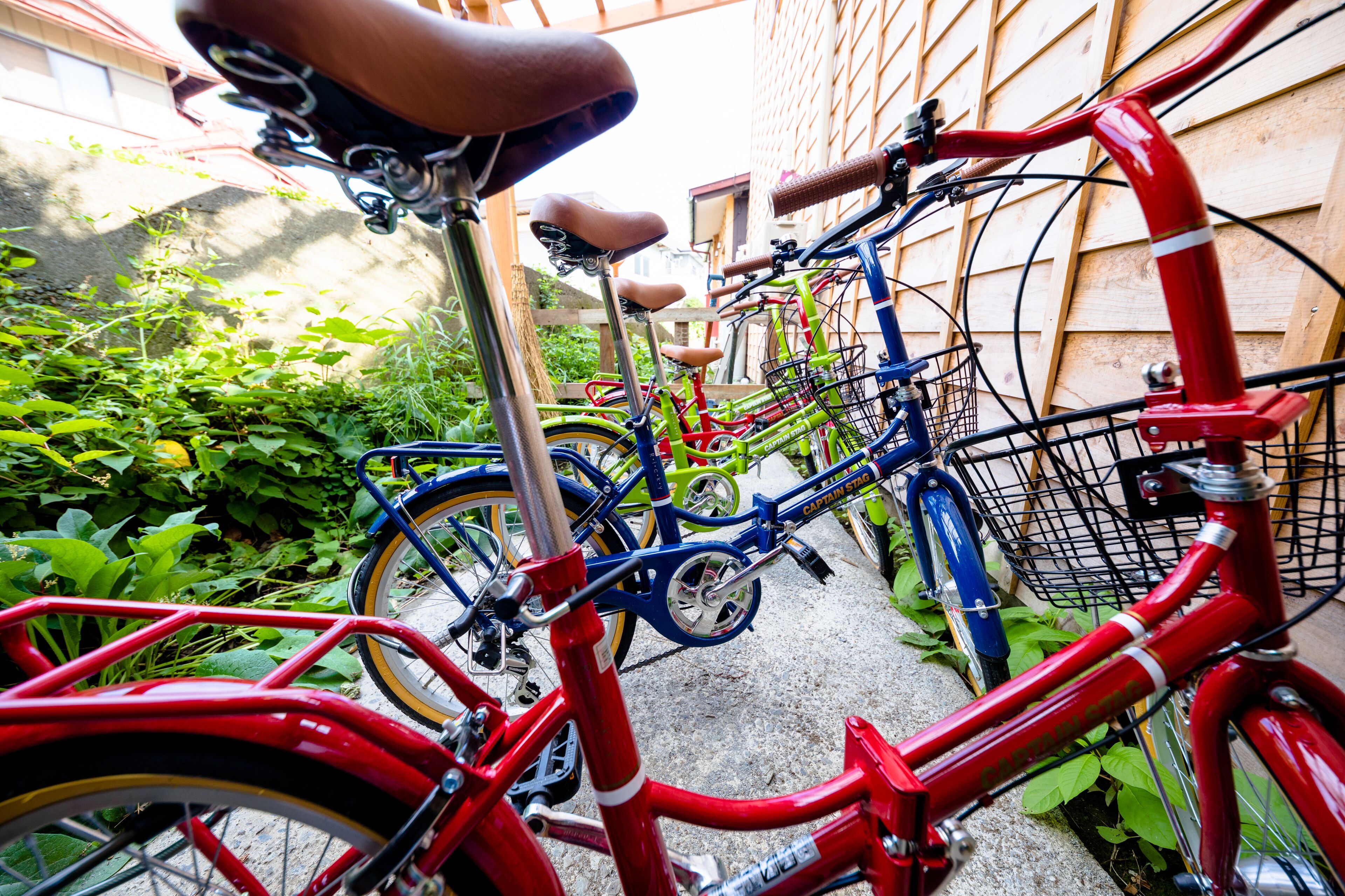 Foto - 富士山金魚 Fujisan Kingyo