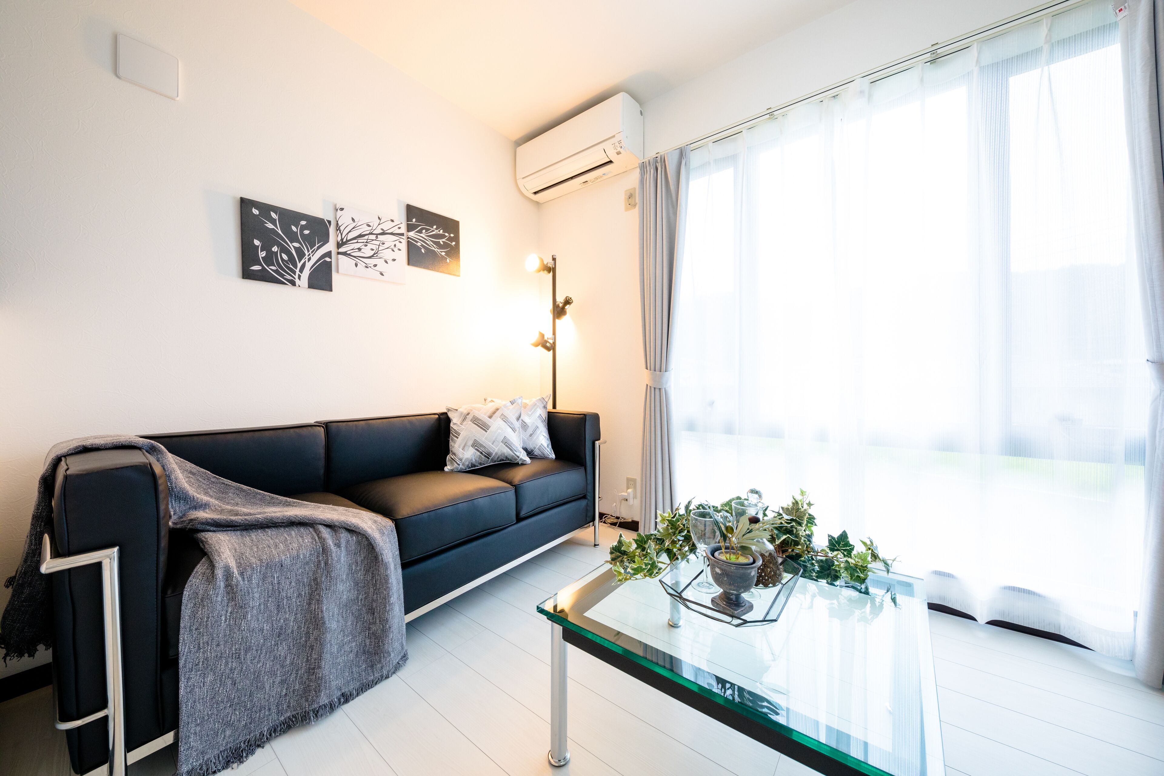 평면 TV, 넷플릭스