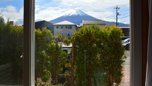 A view of a building with a snow-capped mountain in the background.