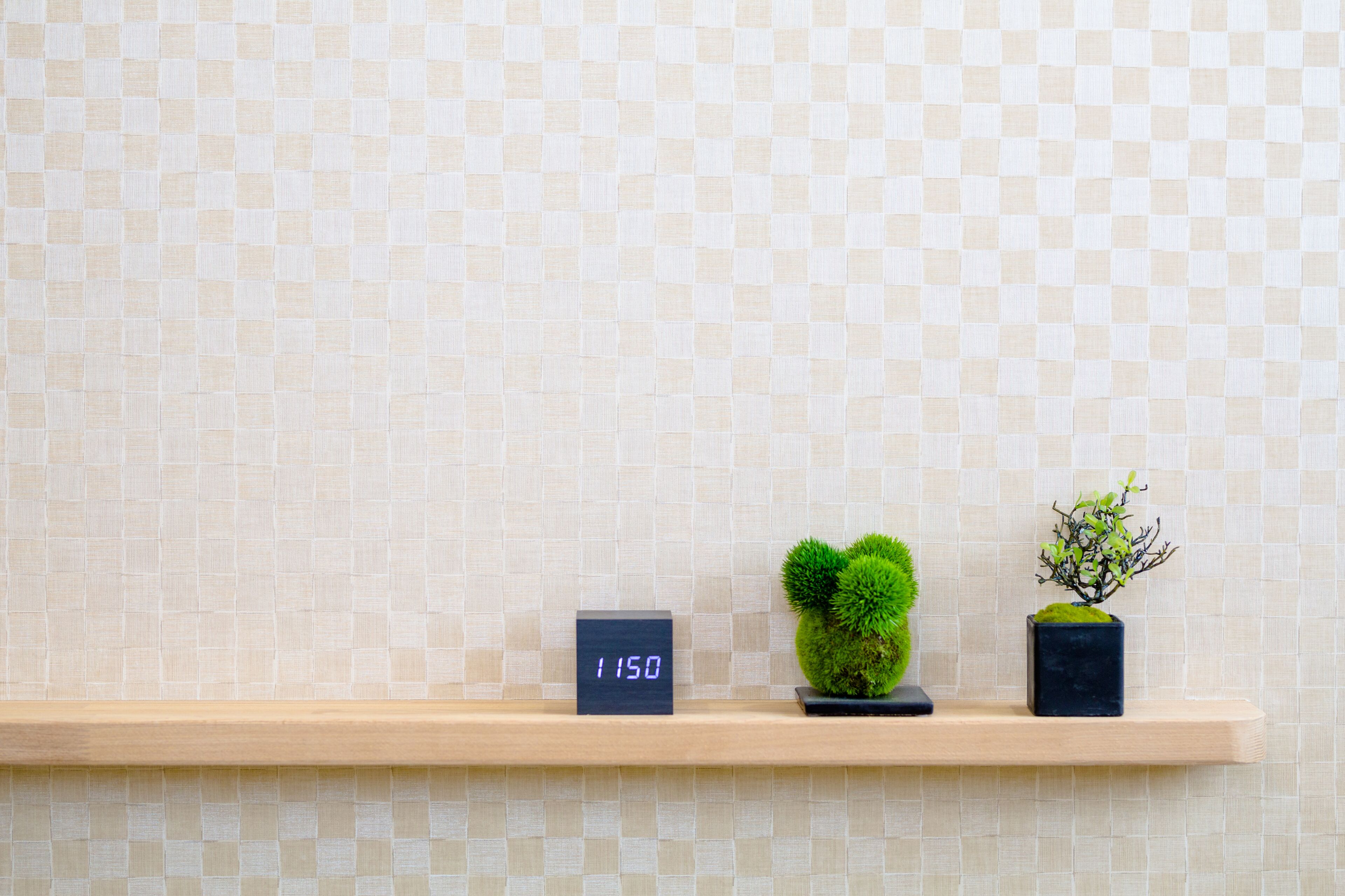 A shelf with a digital clock displaying 1150, a small potted plant, and a decorative item against a tiled wall.