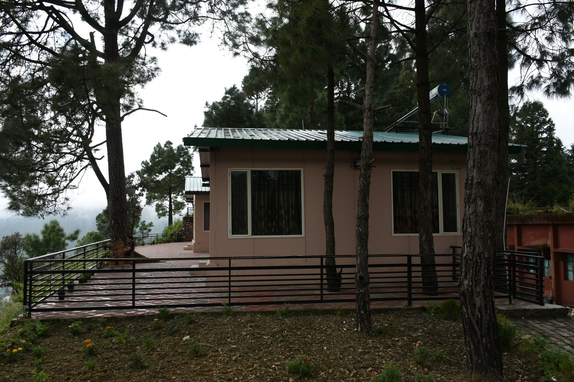 A small, single-story building with a green roof, surrounded by trees.