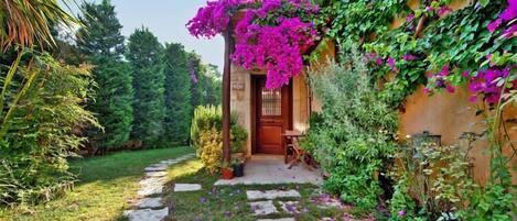 Área da propriedade