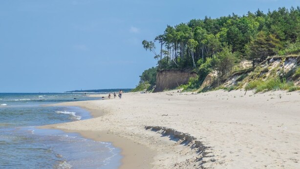 A sandy beach with a forested cliff and ocean view. - Holiday Home in Kolczewo near Baltic Beaches (Kolczewo)
