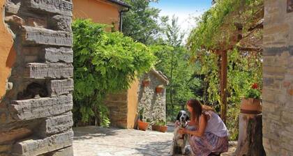 Villa Ca" Piero, Urbino