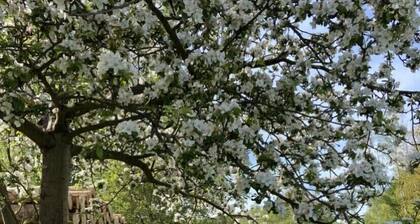 Vacation home "little break" - feel good - relax - enjoy