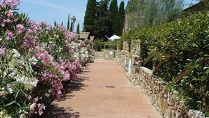 A paved pathway flanked by flowering shrubs and stone walls, leading to a building with a covered entrance. - Apartment in Campiglia Marittima (Campiglia Marittima)