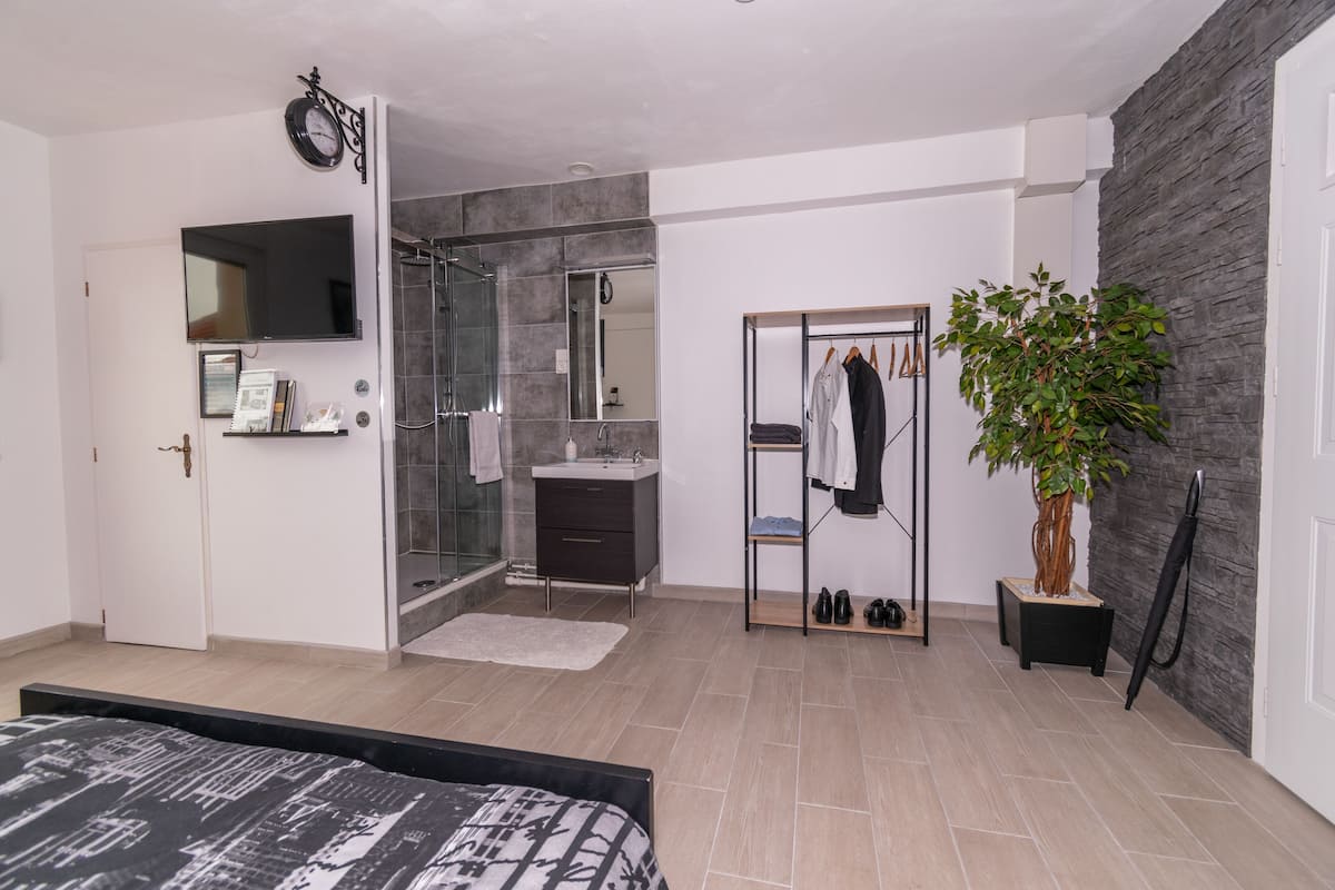Een moderne slaapkamer met een bed, een inloopkast, een badkamer met douche en een potplant.