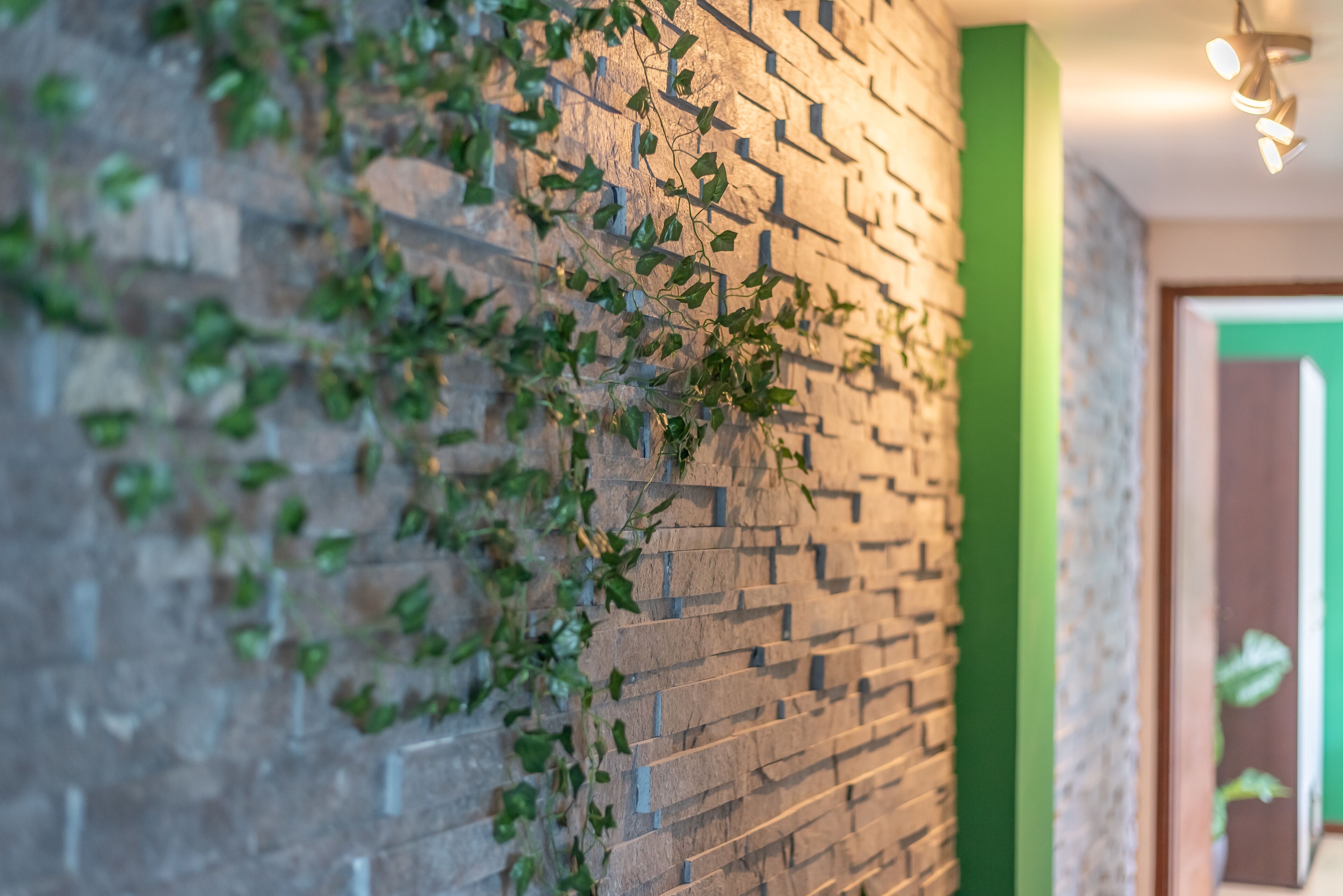 Trendy Green Apartment | リビング エリア | 40 インチのスマートテレビ (デジタル放送視聴可)、テレビ