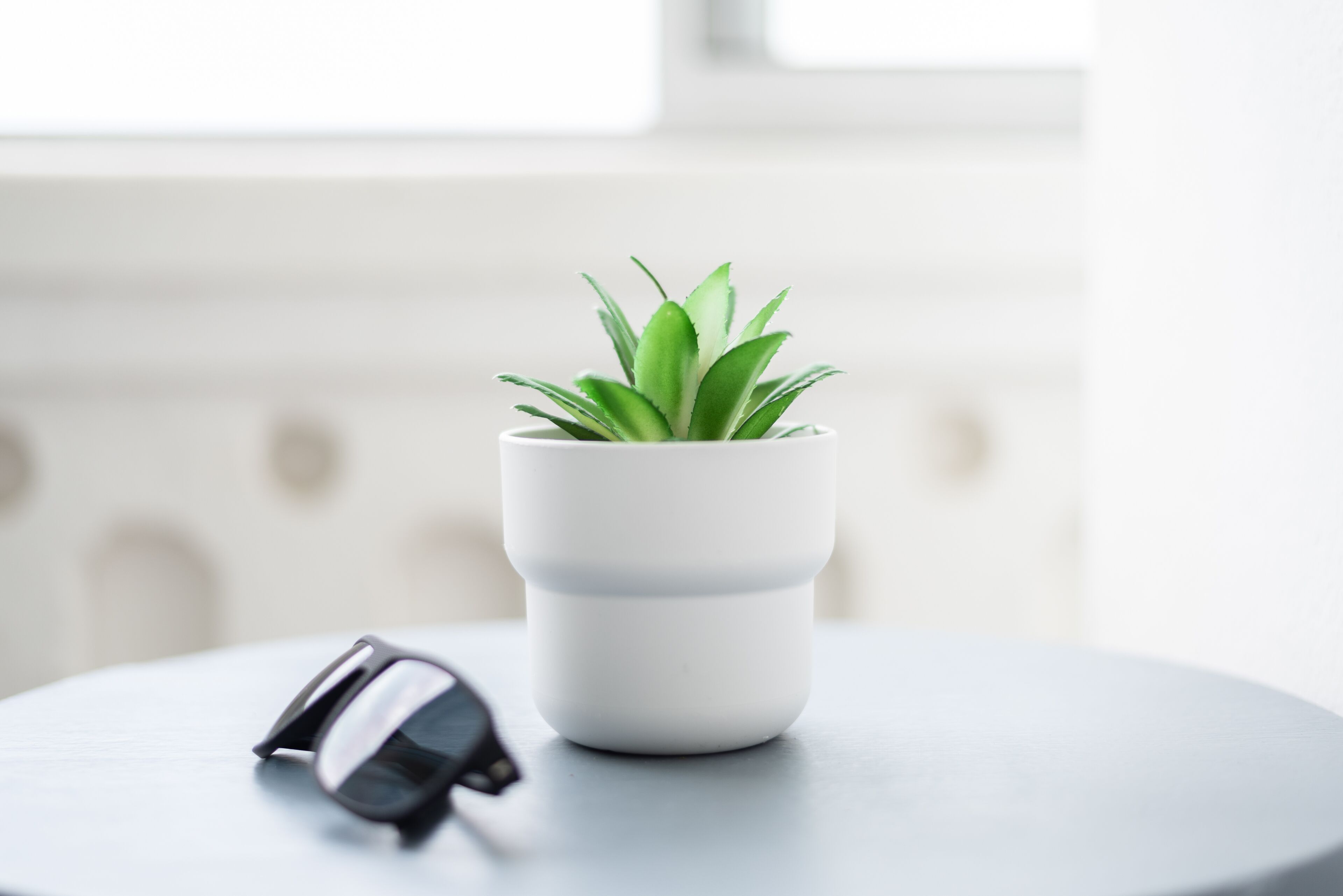 Een witte potplant op een ronde tafel, met een paar zonnebrillen ernaast.