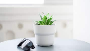 Een witte potplant op een ronde tafel, met een paar zonnebrillen ernaast.