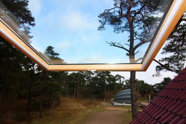 Property grounds - Doppelhaushälfte Bernsteinhaus I, Trassenheide (Trassenheide)