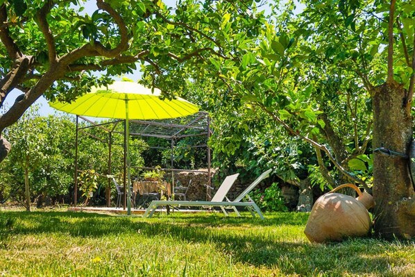 Property grounds - Holiday Home Sicily near Mount Etna (Castiglione di Sicilia)