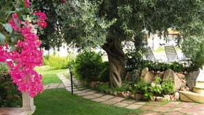 A garden pathway leading to a seating area with a tree and a flower bush. - Apartment in in Badesi with Shared Pool (Badesi)