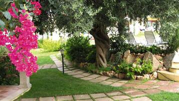 A garden pathway with a stone border, lush greenery, and a large tree with a twisted trunk.