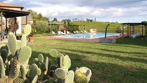 Un espace piscine avec des chaises longues, un jardin de cactus et une structure en forme de pergola.