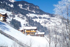 Exterior - Chalet in Grossarltal with Panoramic Views (Großarl)