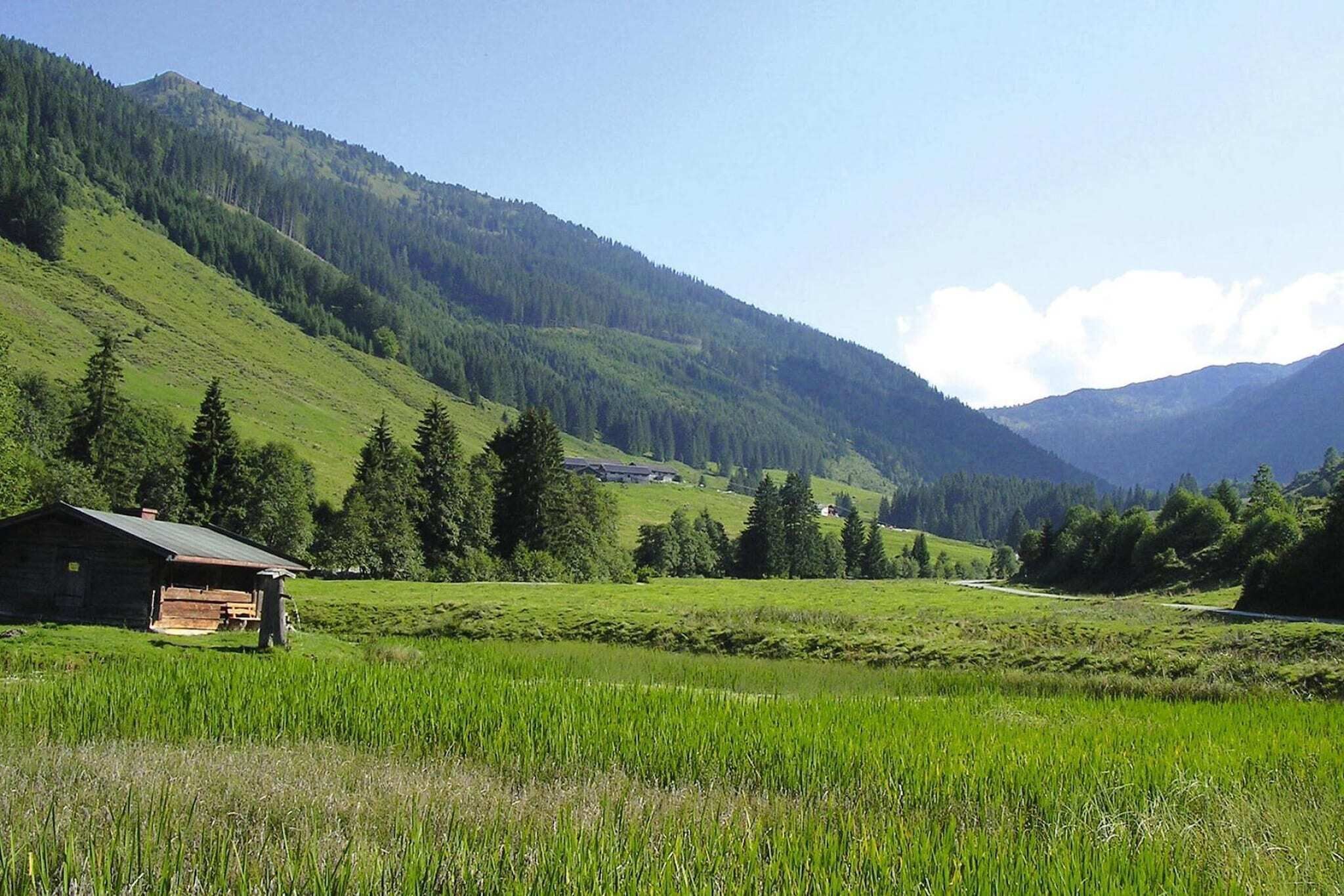 A rural landscape with a wooden cabin, lush green fields, and a mountain backdrop.