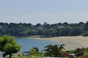 Region [summer] (>5 km) - House and huge garden surrounded by apple trees (Céaux)