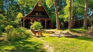 A wooden cabin with a porch, surrounded by trees and a grassy area. - Great holiday home in the middle of nature and right on the lake, Natac Wielka (Natac Wielka)