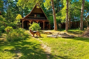 Property grounds - Great holiday home in the middle of nature and right on the lake, Natac Wielka (Natac Wielka)