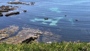 A coastal area with clear blue water, rocky outcrops, and a grassy foreground. - Mounts Bay Inn (Helston)