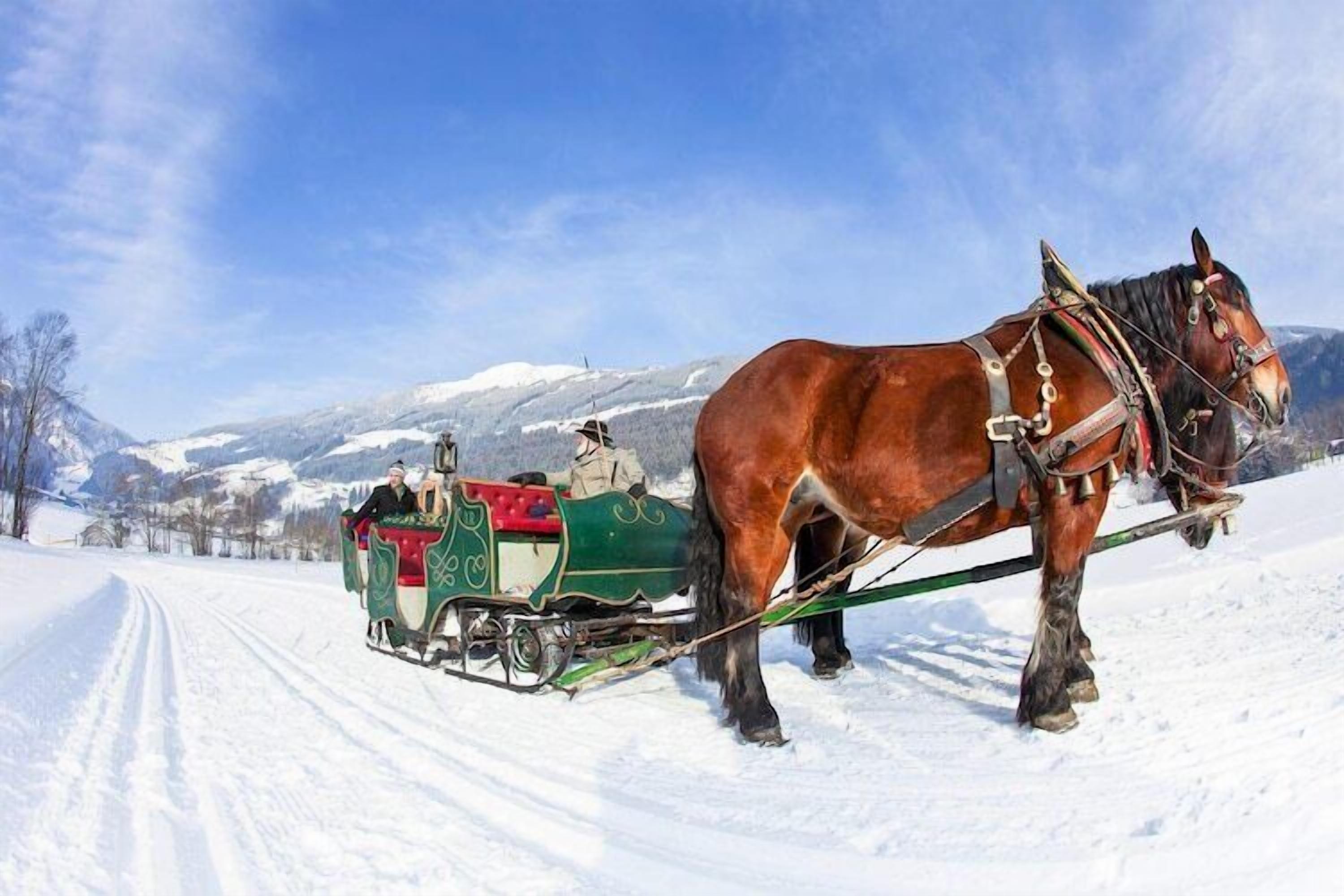 A horse-drawn sleigh on a snowy path with mountains in the background.