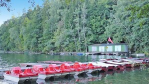 A row of red paddle boats docked at a lakeside pier with a green building in the background.