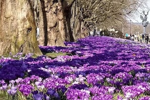 Uklassifisert bilde, 5 av 20, knapp