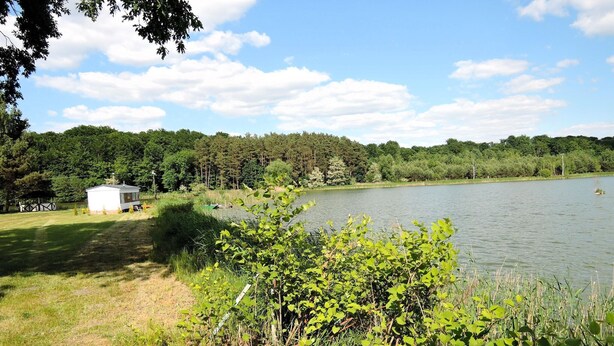 Blick auf einen See mit einer kleinen Holzhütte und einem dichten Wald im Hintergrund.