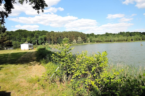 Una propiedad junto al lago con una cabaña pequeña, zonas verdes y un denso bosque al fondo.
