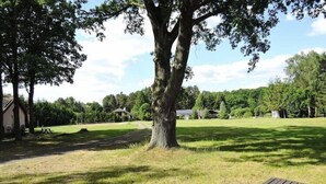 Ein Picknicktisch und ein großer Baum auf einer grünen Wiese, im Hintergrund Häuser.