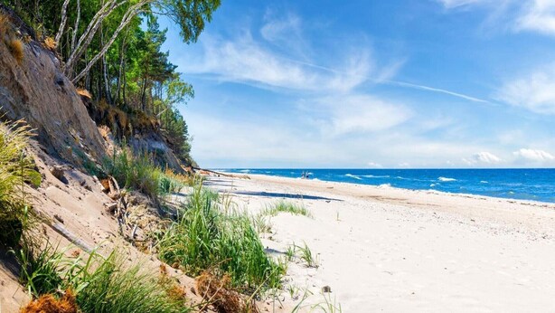 Una playa con arena, vegetación y cielo despejado.