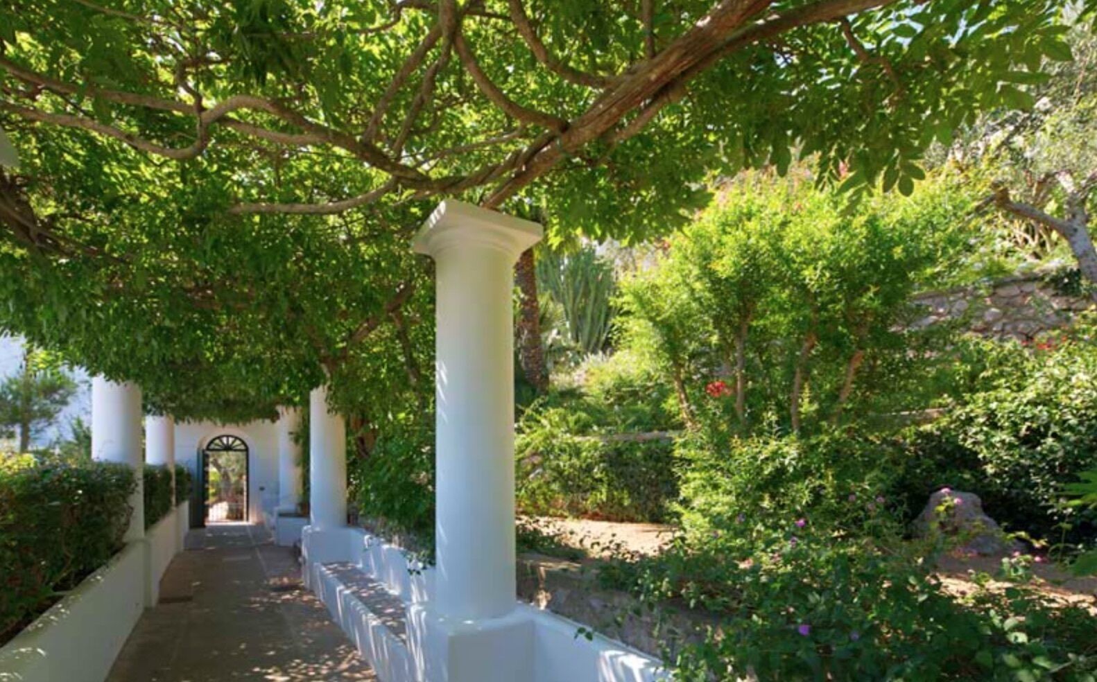 Un chemin mène à un bâtiment blanc orné de colonnes, entouré d’une végétation luxuriante et d’un jardin.