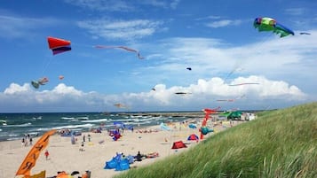 On the beach