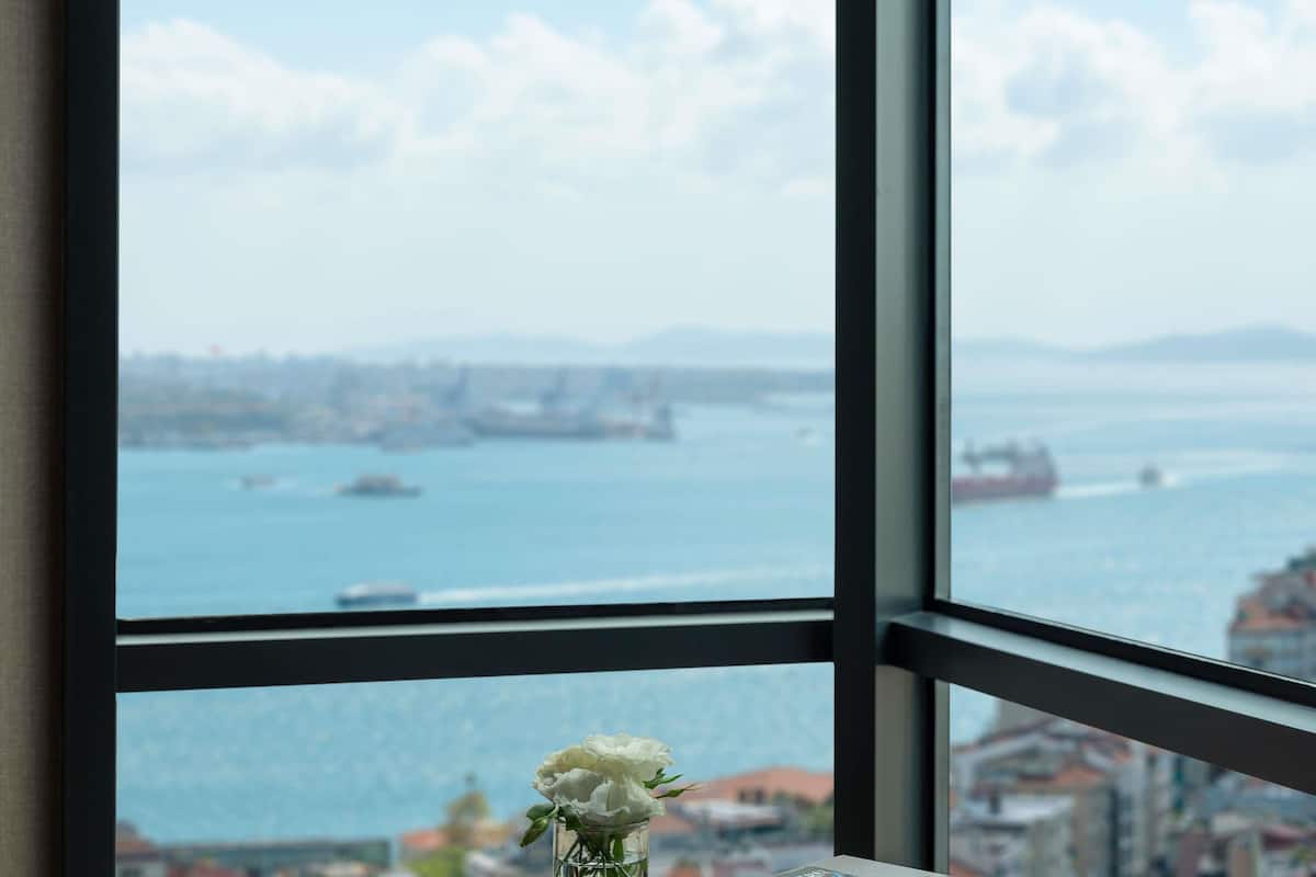 Minibar, in-room safe, desk, laptop workspace