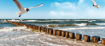 Holiday home in Rusinowo, oasis of peace and quiet