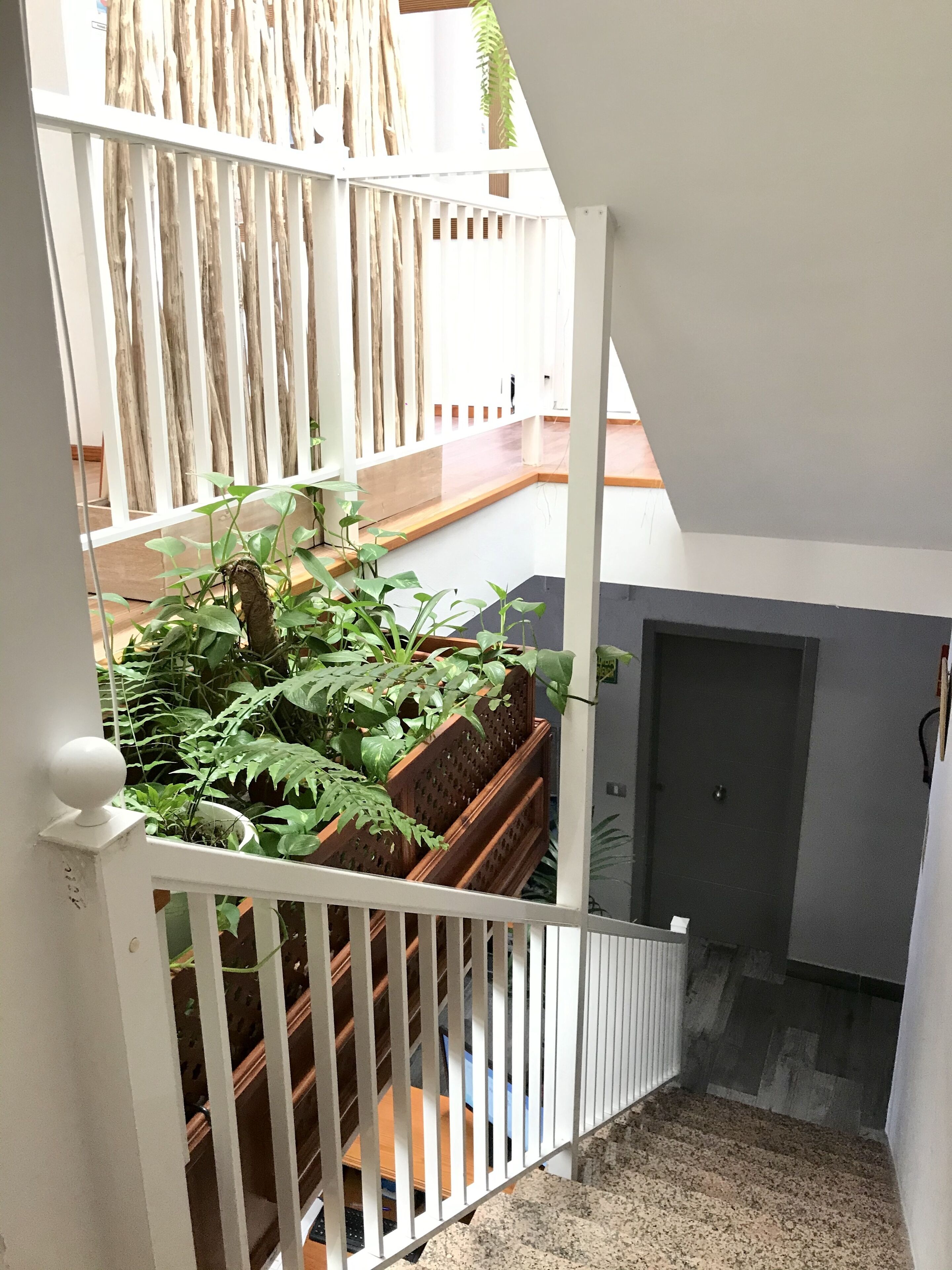 Foto - Pensión Cassandra