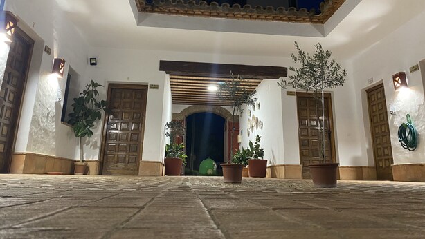 A courtyard with a tiled floor, potted plants, and wooden doors. - Apartamentos Turísticos Los Alisos (Aliseda)