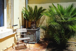 Un patio con una silla de metal, una planta en maceta y una palmera.