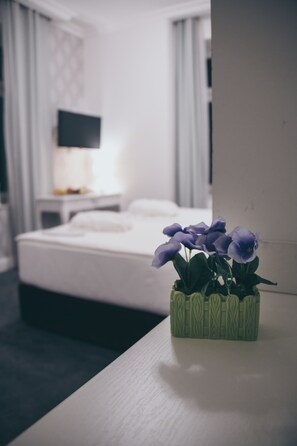 Standard Double or Twin Room | Premium bedding, minibar, desk, laptop workspace - Hotel Central Park (Trebinje)