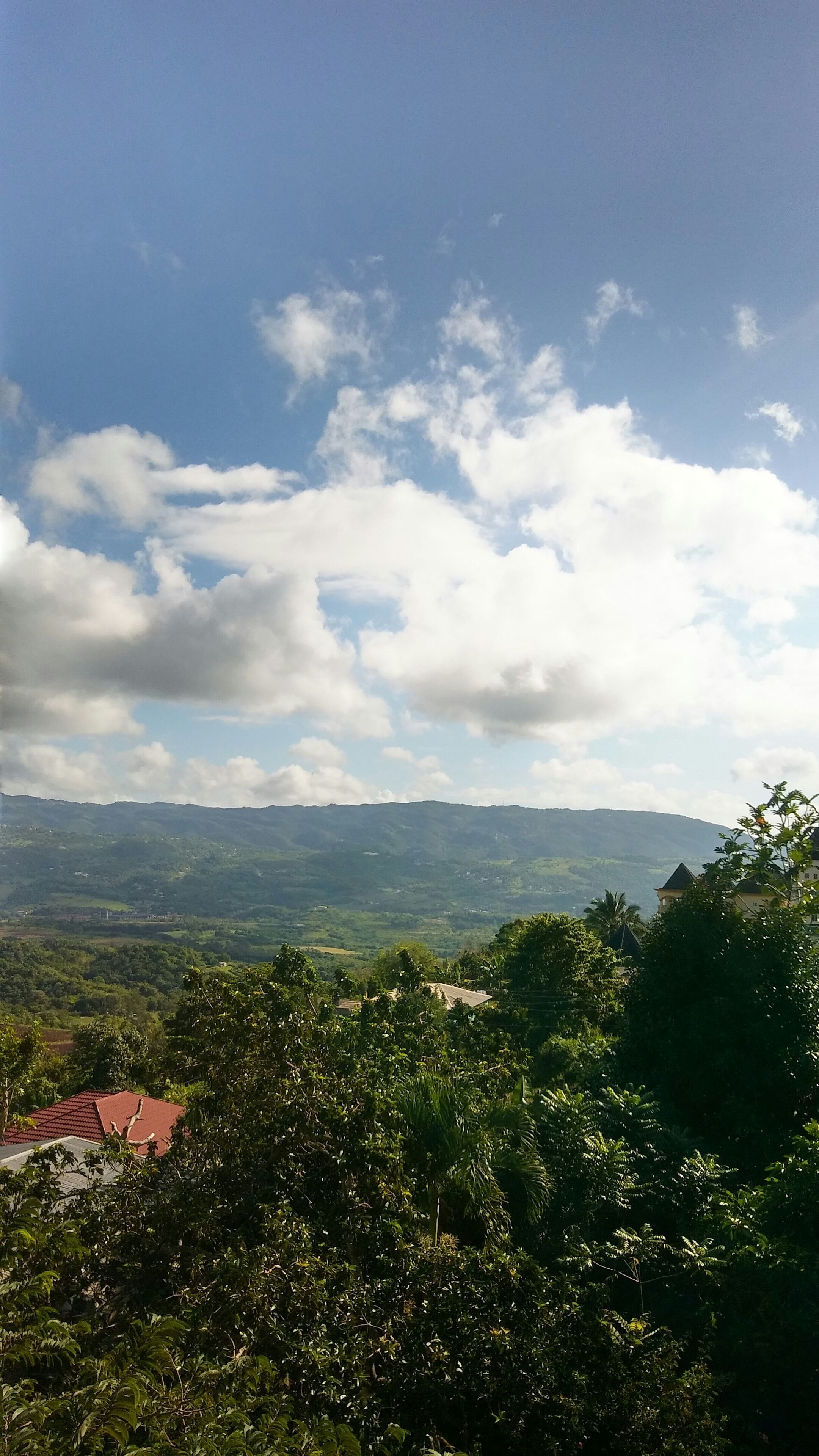 Une vue panoramique d’un paysage avec une maison partiellement cachée par le feuillage.