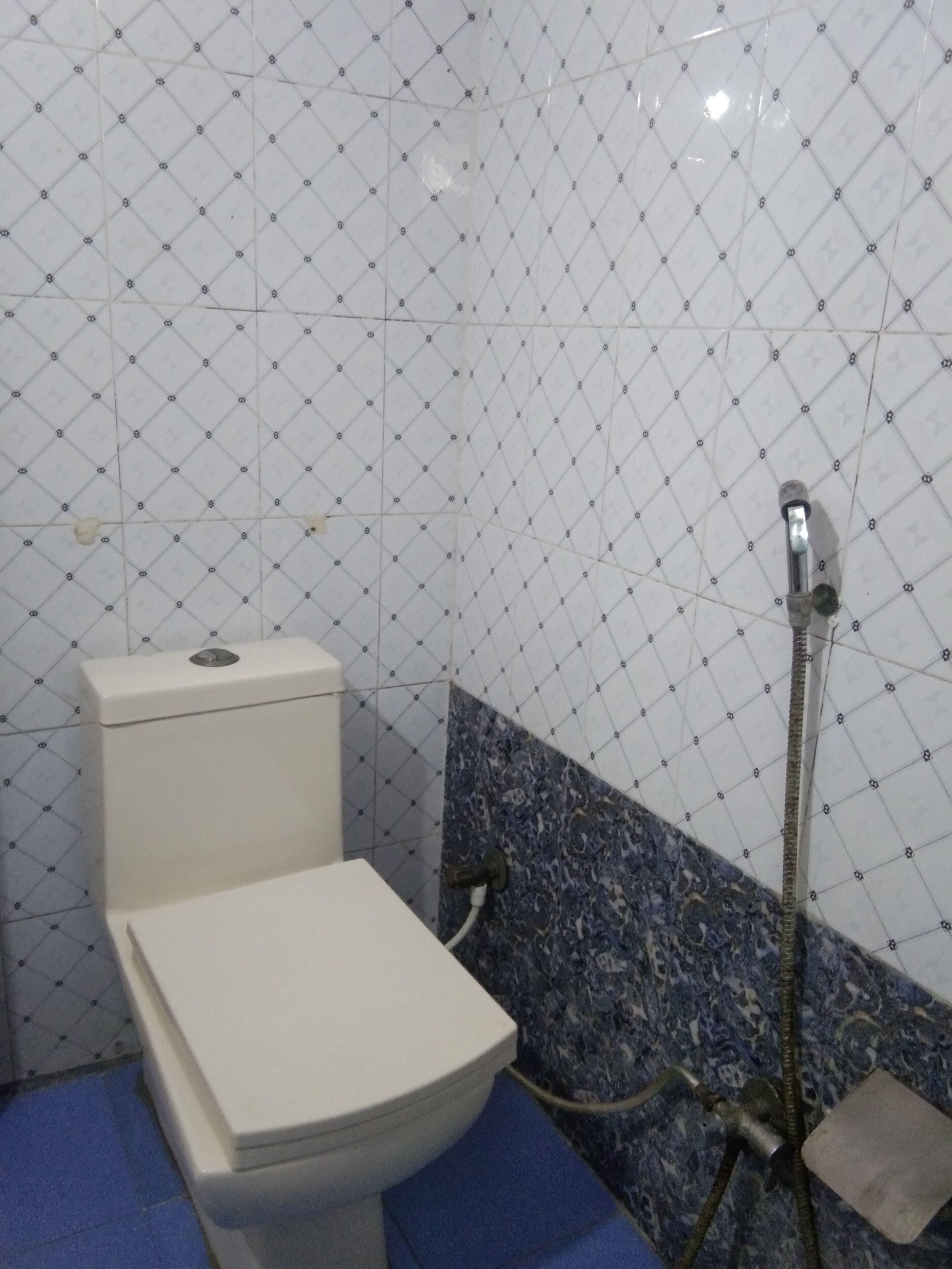 Hotel Rashmi Palace ...............................