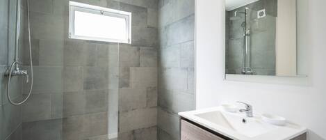 A modern bathroom with a shower, a sink with two bowls, and a large mirror.