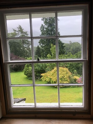 A window with a view of a garden and trees.