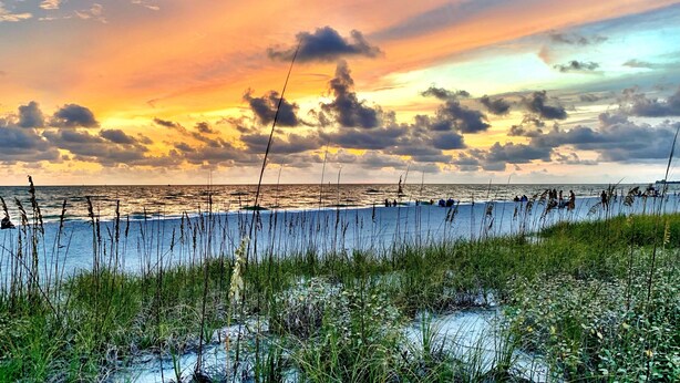 A beach with tall grasses in the foreground and a sunset over the ocean. - An oasis ACROSS THE STREET FROM THE BEACH :) (Treasure Island)