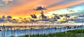 An oasis ACROSS THE STREET FROM THE BEACH :)